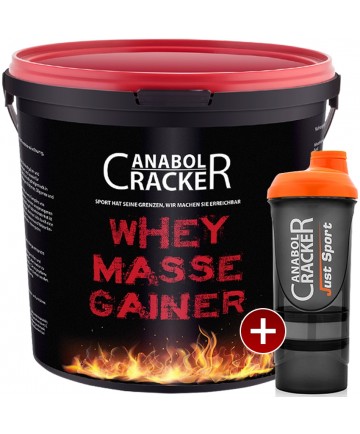 Whey Masse Gainer + Proteinshaker-Vanille