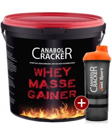 Whey Masse Gainer + Proteinshaker